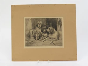 1800s John Frederick Tayler Antique Etching Litho "Otter Hounds" 15.5" x 13.5" - Picture 1 of 7