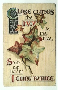 Vintage 1910 Divided Back Ivy Clings Poem Litho Postcard Wisconsin - Picture 1 of 2