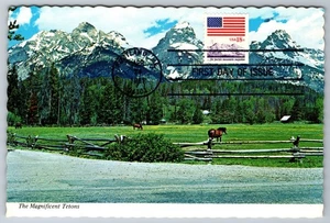 #893 Flag over Mountain Booklet FDC Maxi Card - Picture 1 of 2