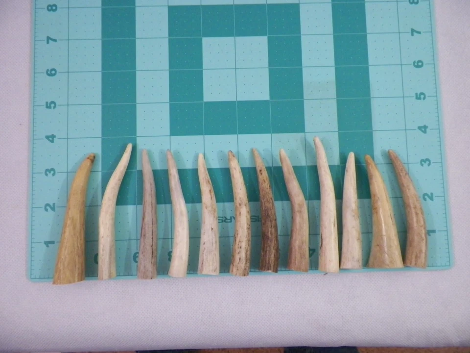 12 puntas de cuerno de ciervo cola blanca cobertizo joyería artesanal bolígrafo torneado DT-5 Foto 1 de 1