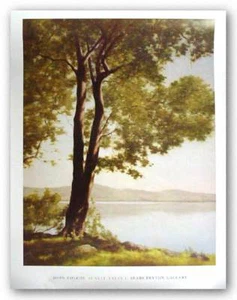 Impresión artística Sunlit Trees I, 2004 John Folchi 40x30 - Imagen 1 de 1