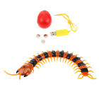 Halloween RC Remote Control Centipede Toy