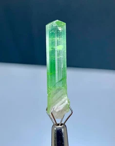 Lipstick Green Tourmaline Crystal from Afghanistan - 10 carats - Picture 1 of 5