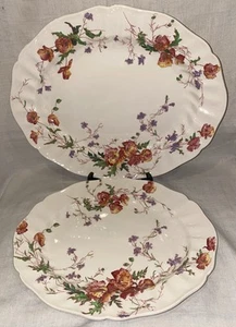DE COLECCIÓN 2 PLATOS OVALADOS ROYAL DOULTON SHERBORNE D5915 13,5” X 10,25” y 15,5” x 12,5” - Imagen 1 de 13