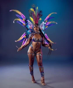 carnival costume, samba, feathers, showgirl, sm,med,lg,xl,2xl  - Picture 1 of 1