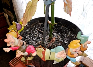 Colorful Whimsical Vintage NEW Flower Pot Hangers The SEVEN DWARFS~ALL 7 of them - Picture 1 of 15