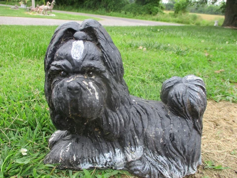 REGAL OLD WEATHERED/WORN VINTAGE CEMENT/CONCRETE BLACK/WHITE SHIH TZU DOG Cover