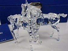 Swarovski Figurine Fohlen Foals Veulens Poulains Föl Føl 627637