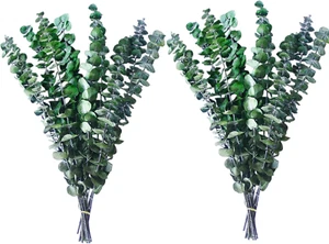20PCS Preserved Eucalyptus, 17" Natural Fresh Green Eucalyptus Plant, Real Eucal - Picture 1 of 12