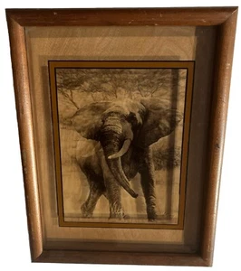 DENNIS CURRY Wildlife Elephant Lucid Lines Production Original Etching on Glass - Picture 1 of 17