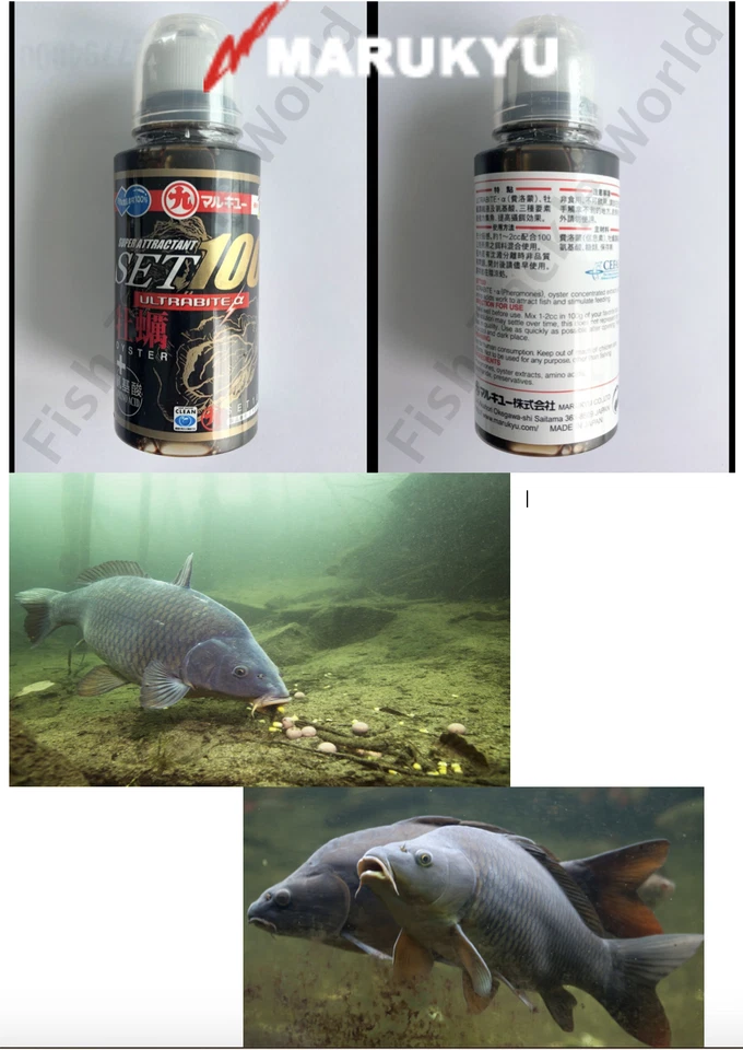 MARUKYU OYSTER LIQUID BAIT SCENT SET100 ULTRABITE - #1882 - Image 1 of 3