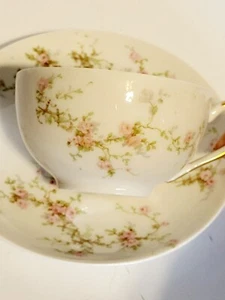 THEODORE HAVILAND LIMOGES 1920 LUCILLE PINK ROSES GREEN LEAVES TEACUP & SAUCER - Picture 1 of 3