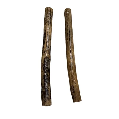 Kaktus Regenstab 19 1/2" Musikinstrument gebraucht 2 Regenstäbe - Bild 1 von 4