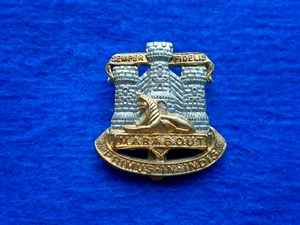 THE DEVONSHIRE & DORSET REGIMENT BI METAL CAP BADGE, REPRO - Picture 1 of 2