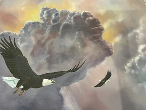 Original Oil Painting Eagle Signed - Picture 1 of 2