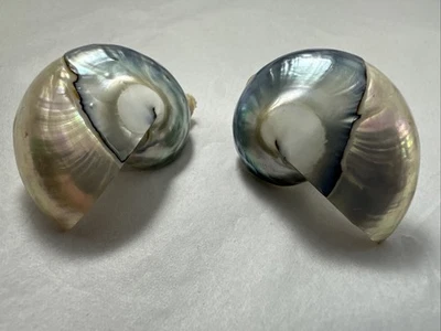 Blue Nautilus Mother Of Pearl Seashell Clip-on Earrings Vintage Stunning - Image 1 of 4