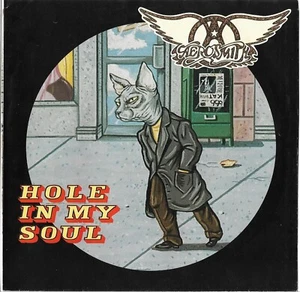 Picture Sleeve ONLY: Aerosmith: "Hole In My Soul" - from '97 hit - EX! - Imagen 1 de 2