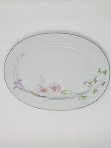 Studio Nova MA202 Pink Vista Fine China Oval Platter-Very Good - Picture 1 of 12