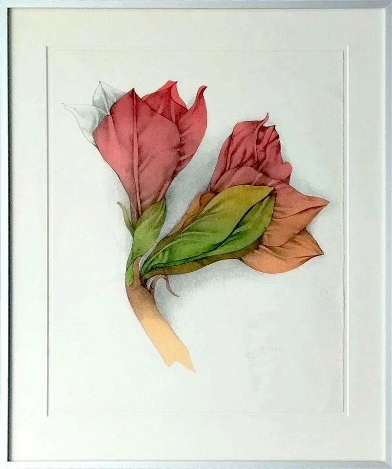 Original Farblithografie Bruno Bruni Amaryllis handsigniert E.A.  Galerierahmung - Bild 1 von 1