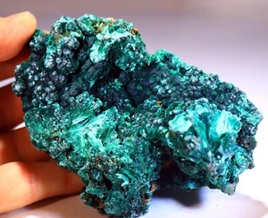 4.75" 1 lb 1.6 oz Stunning Fibrous Malachite Cave/Cluster, Congo! M545 - Picture 1 of 5