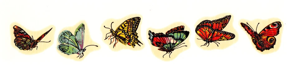 Calcomanías Cerámicas Mariposas Mariposa Insecto 6 Diseños Foto 1 de 1