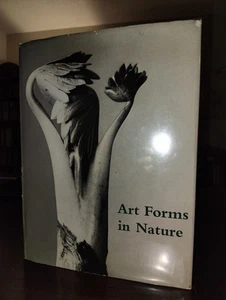 Kunstformen in der Natur: Vergrößerte Fotografien von Karl Blossfeldt 1967 Hardcover - Bild 1 von 14