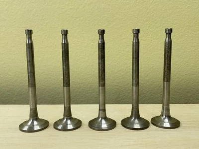 Original GM OEM GMC Chevy 248 270 Exhaust Valve Set Tapered Stem 1950-54 2192844 - Изображение 1 из 4