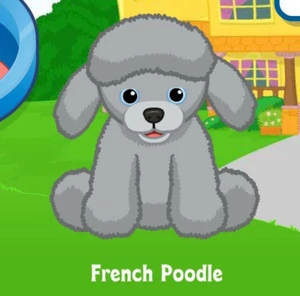 Webkinz Classic French Poodle Pet Code Only - Picture 1 of 1