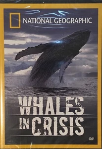 National Geographic Whales in Crisis 2006 Crittercam Pilot Whales Brand NEW DVD - Picture 1 of 2