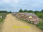 Photo 6x4 Timber Stacks Fritham Plain New Forest Probably finish up as ne c2006