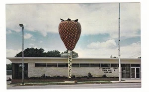Strawberry Point, Iowa vintage postcard / library - Picture 1 of 2