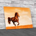 Black Kladruber Horse Run Gallop Orange Canvas Print Large Picture Wall Art
