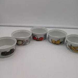 PILLIVUYT OF FRANCE 5 PORCELAIN RAMICANS RECIPE MOTIF 1.50'' DEEP X 3.50''W - Picture 1 of 4