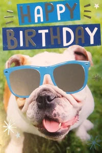 Happy Birthday Dog With Kool Mirror Glasses Hallmark Expressions Greeting Card - Picture 1 of 4