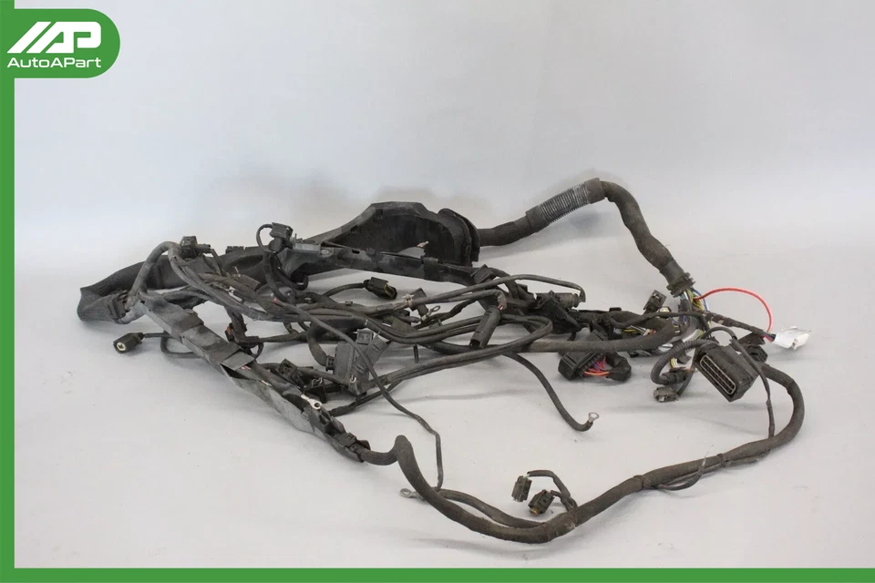 ✅ 00-02 Mercedes W220 S500 Secondary Engine Wiring Harness Plugs 2205401606 OEM - Image 1 of 4