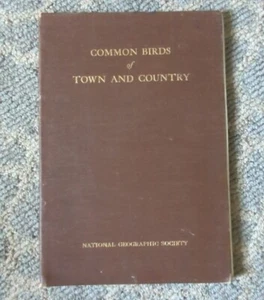 Common Birds of Town and Country - Picture 1 of 10