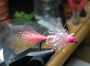 (6) Tungsten Bead Shrimp Pink UV Estaz Monster Egg Flies For Steelhead/Salmon - Picture 1 of 7