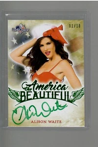ALISON WAITE  AUTO AMERICA THE BEAUTIFUL 1/10  2017 BENCHWARMERS - Picture 1 of 2