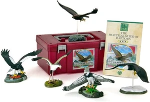 Official COLORATA "Birds of Prey" Figure Box 5 Types (3D Encyclopedia) - Picture 1 of 9