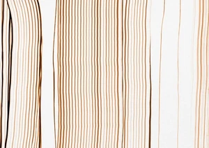Modern Abstract Lines Poster Wall Art - Elegant Minimalist Decor - Picture 1 of 6