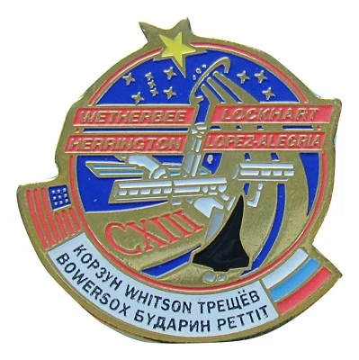 PIN esmalte de colección transbordador espacial NASA STS-113 ENDEAVOUR Petit Bowersox Wetherbee  Foto 1 de 3