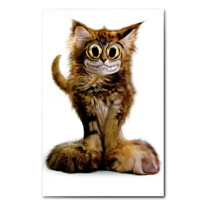 Funny ENCOURAGEMENT Card, by American Greetings, Cat Land on Your Feet +Envelope - Picture 1 of 5