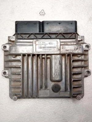 391044X910 centralina motore KIA CARNIVAL 2.9 CRDI VGT EX 1999 DELPHI 195811 - Immagine 1 di 4