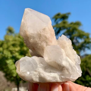 290G Natural Pineapple white backbone Quartz Cluster Point Crystal Healing Decor - Picture 1 of 24
