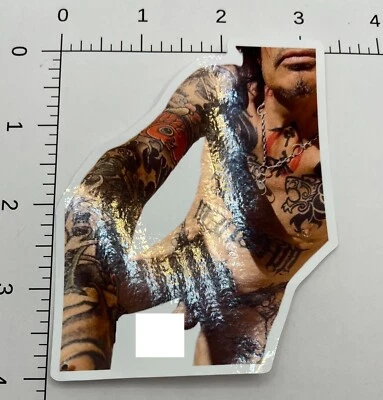 Tommy Lee instagram Mötley Crüe Window Cling. 4” desnudo Foto 1 de 3