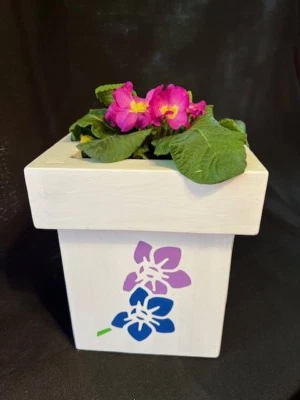 Maceta de cedro pintada maceta abeja hierba vegetal exterior sala jardín porche Foto 1 de 4