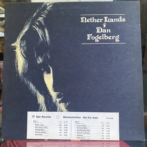 Dan Fogelberg - Nether Lands (1977 Vinyl, LP) “Scarecrow’s Dream” - Picture 1 of 7