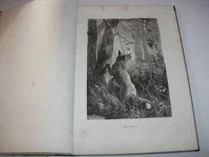 1873 BOOK - HUNTING WOODCUT PRINT COLLECTION - EINE HOLZSCHNITTSAMMLUNG - Picture 1 of 12