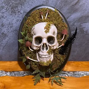 Target 2024 Hyde & EEK! Dark Forest 14" Hanging Framed Skull Halloween Decor - Picture 1 of 9