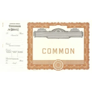 NEW Goes 500 Common Blank Stock Certificate Size 8-1/2" Tall x 15" Wide - Picture 1 of 2